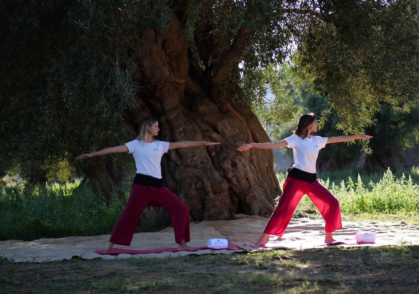 Yoga & Functional Training & Qì Gong & Taichi